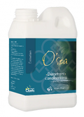 DETARTRANT CANALISATION 750ML SPA
